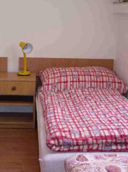 Penzion Barina Dolní Dunajovice 部屋 写真