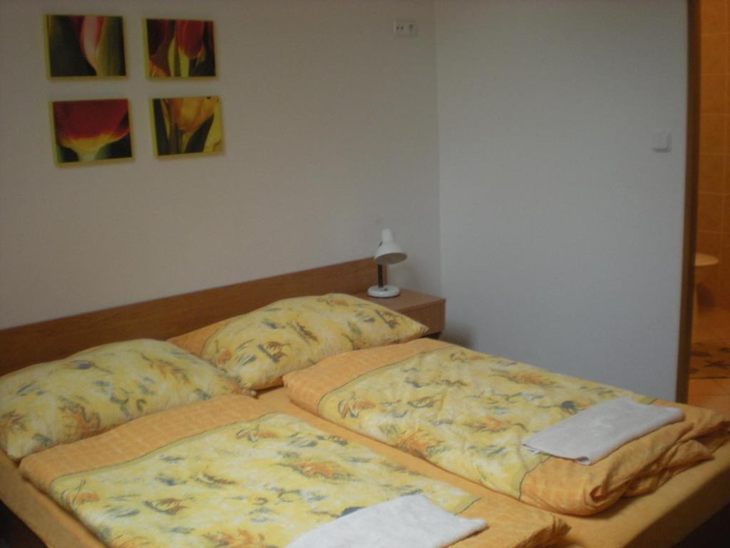 Penzion Barina Dolní Dunajovice 部屋 写真